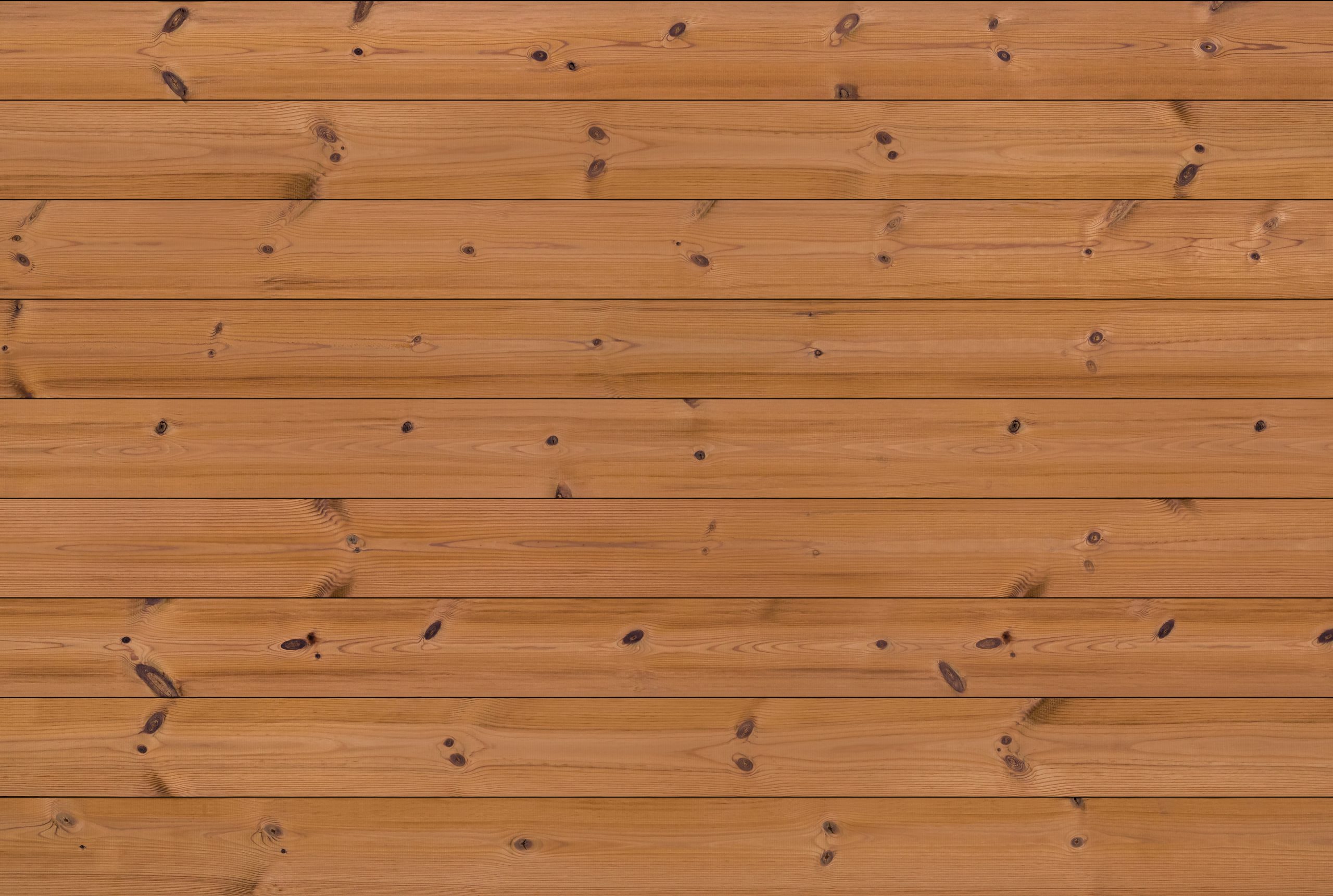 C3 Thermo-Pine - Image 2