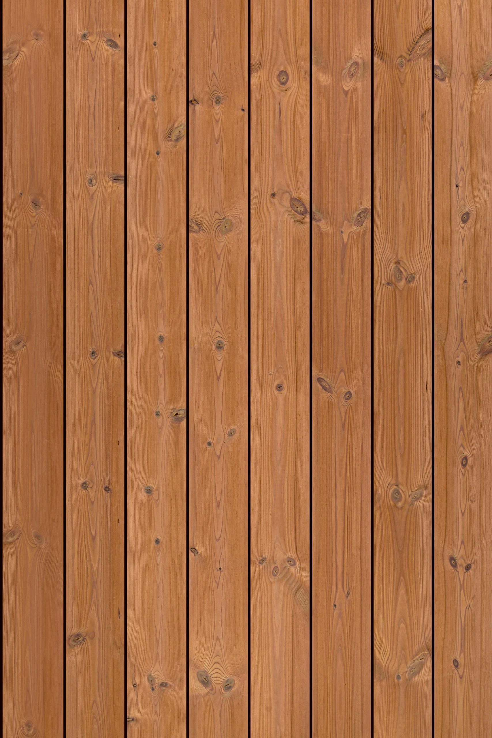 C4 Thermo-Pine - Image 2
