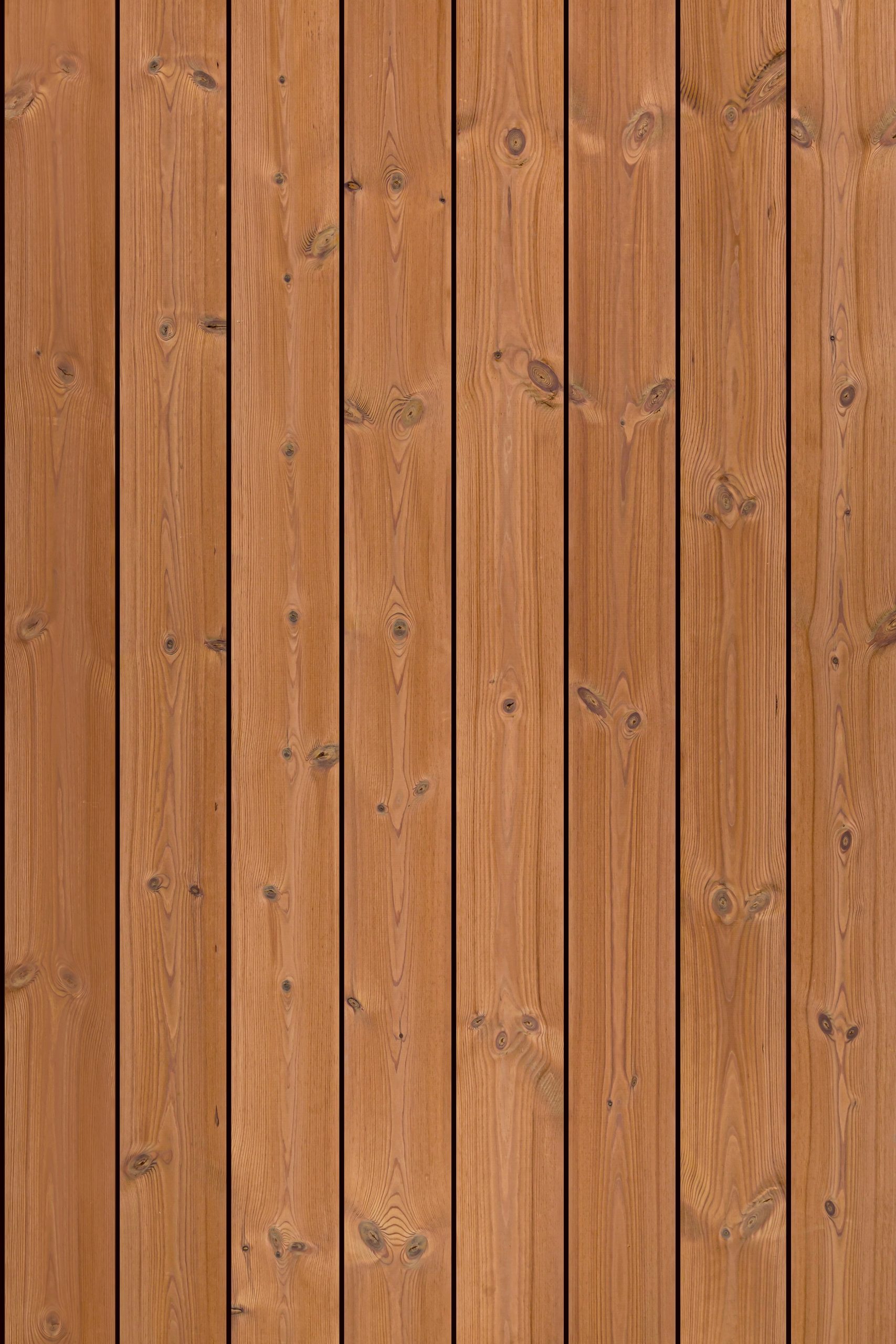D4 Thermo-Pine - Image 2