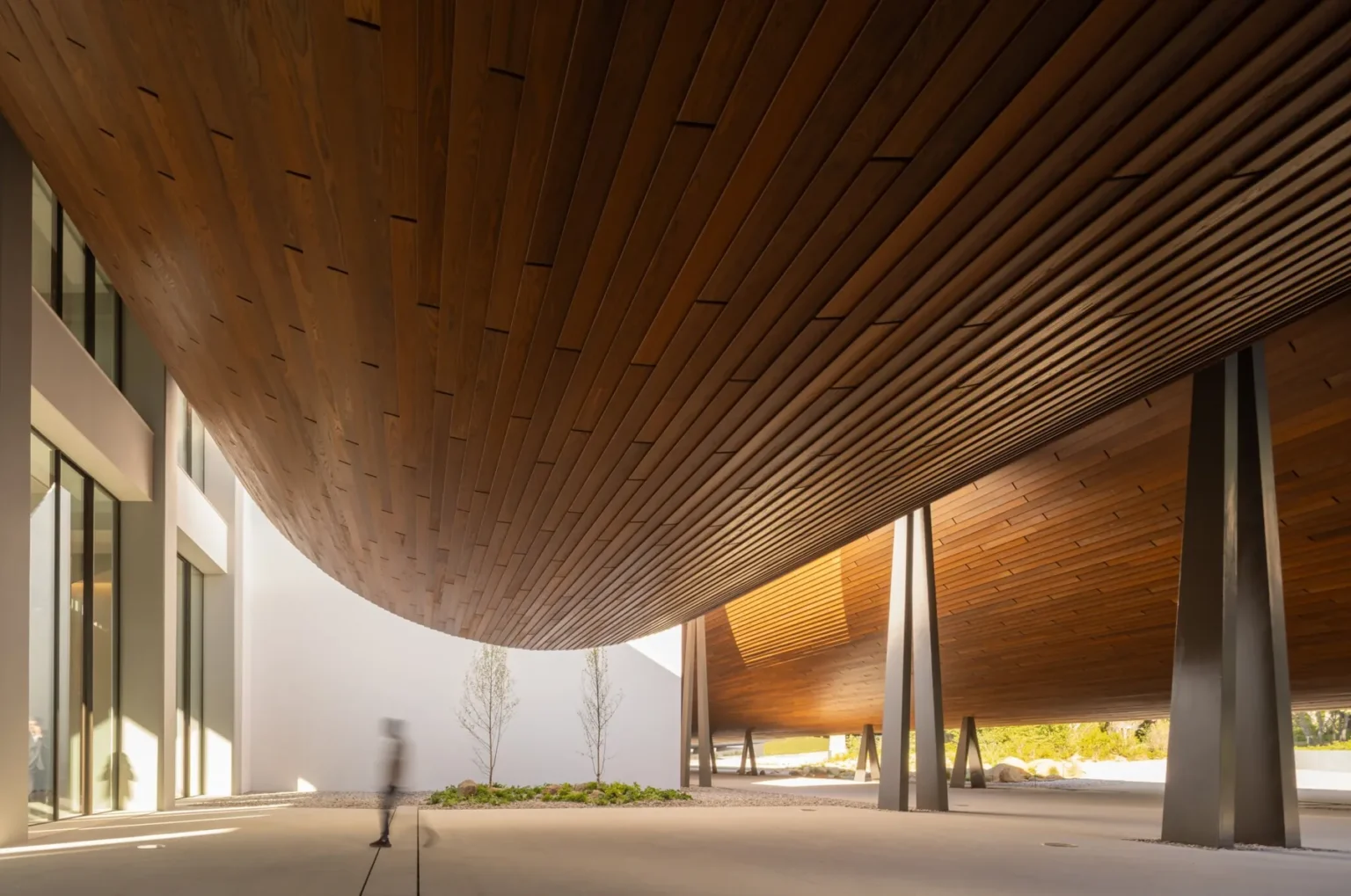Thermowood canopy & ceiling — Public space